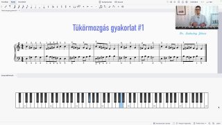 GYAKORLAT #1 - Tükörmozgás